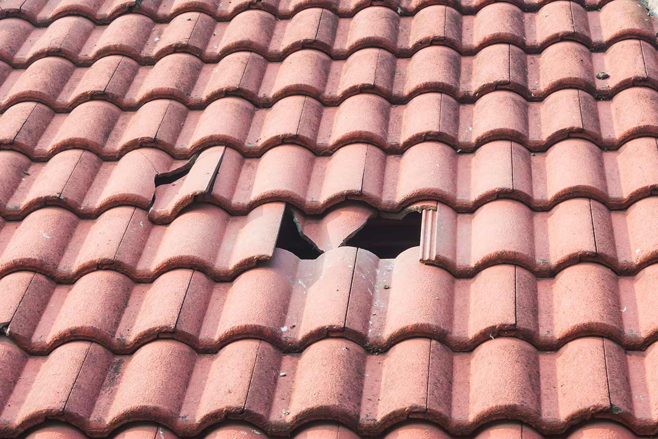 Dach-Reparatur